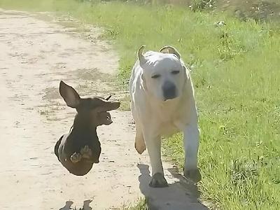 외향형과 내향형