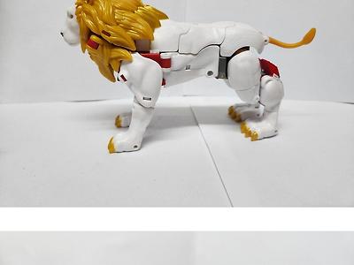 요즘 마트에서 판매하고 있는 사자 장난감 수준.jpg