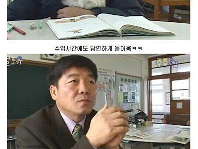 초등학생이 교실에 강아지를 데리고 등교해요;;;.jpg