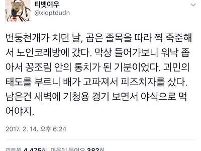 한국어가 꼬이는 짤