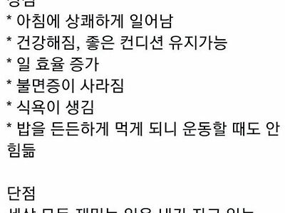 6개월간 미라클 모닝 해 본 후기