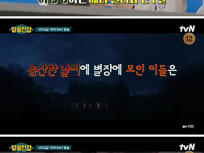 [알쓸인잡] 인도네시아 화산 폭발이 세계 문학계에 끼친 영향.jpg