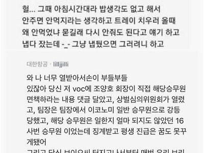 비행기 기내식 실화 레전드