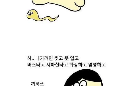 집돌이 집순이 특징.