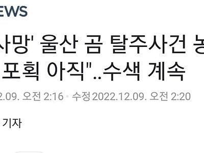 울산 곰농장에서 곰탈출 2명 사망.jpg