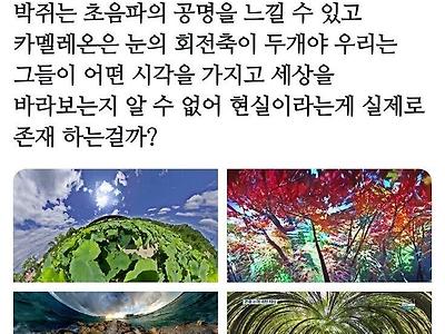 우리가 보는 시각