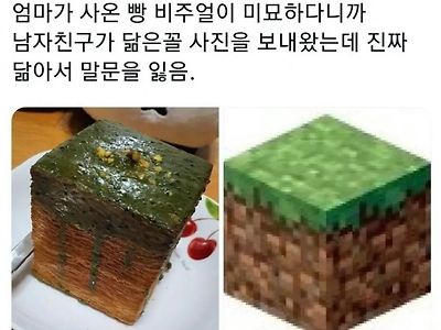 어디서 많이 본 비주얼