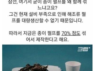 세계 최초 미역 부산물로 만든 완전히 썩는 컵