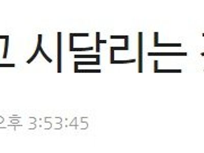 김새론측 변호인 "생활고 시달리는 것 사실… 수임료도 낮고 현재 월세 거주" ㄷㄷㄷㄷ