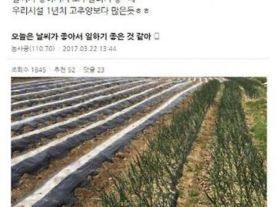 전설의 농사 공익(노예)