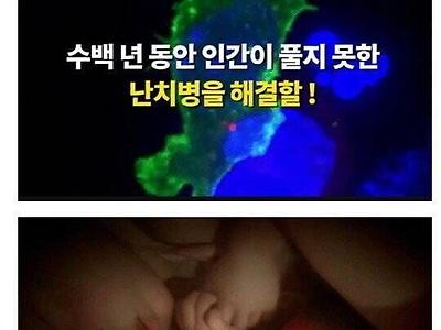 한 사람의 팔로 구한 240만명의 생명