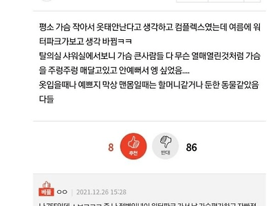 가슴 큰 거 안부러운 판녀.jpg