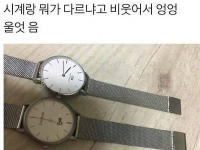 고급시계 대참사