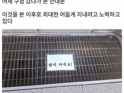 어둡게 지내라는 구청의 경고문