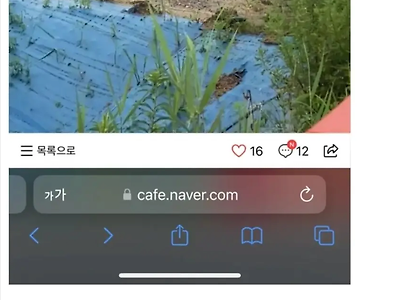 오송지하차도 참사는 인재입니다. 자연재해는 무슨