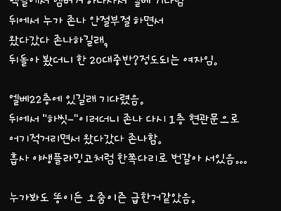 엘베에서 여자가 똥싸는걸 직관함