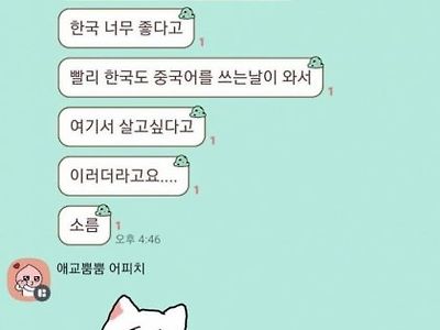 한국이 너무 좋은 중국 유학생