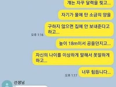 선생님 매일 저를 괴롭히는 애가 있어요