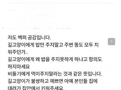 캣맘 때문에 난리난 용산구 일대