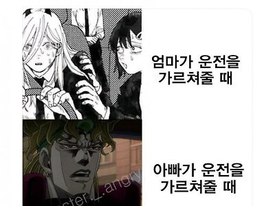 엄마가 운전 가르칠 때 vs 아빠가 운전 가르칠 때