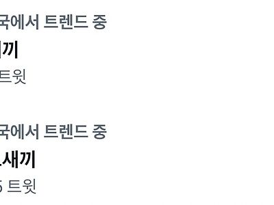 어제자 대한민국에서 제일 나쁜 두 새끼