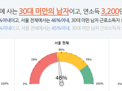 재미로 보는 연소득 백분위