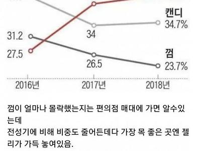 급격하게 몰락한 제품