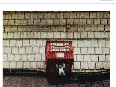 여친과 헤어진 헬갤러..jpg