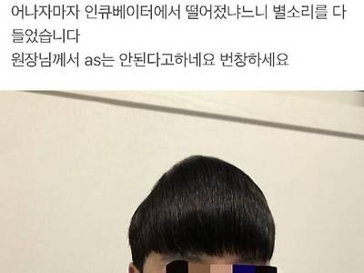 측두엽손상컷