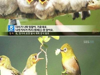 조류 학대 사진전