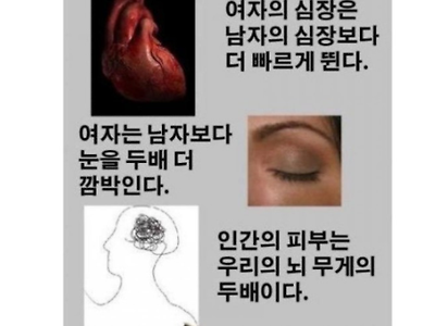 인체의 신비