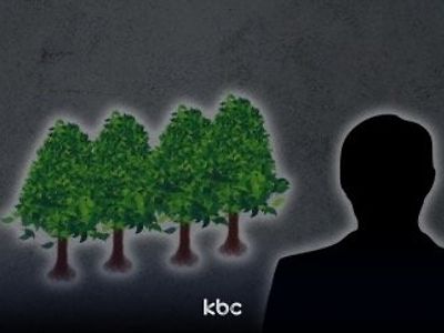 '나무 심으면 젊은 공무원 안 떠나요?' 춘천시 나무심기 행사 비판 잇따라