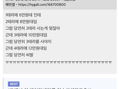 골때리는 외장하드 가격정책