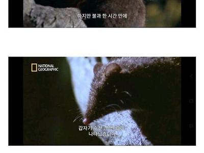 목숨을 건 12시간 파워 ㅅㅅ의 결과.jpg