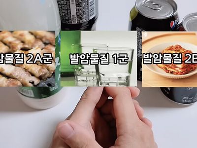 발암물질 3종 세트를 회식으로 먹는 한국인 큰일