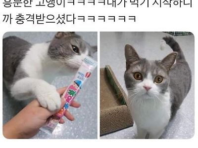 니가 그걸 왜먹어