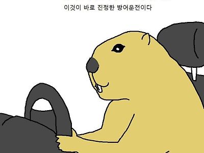 진정한 방어운전