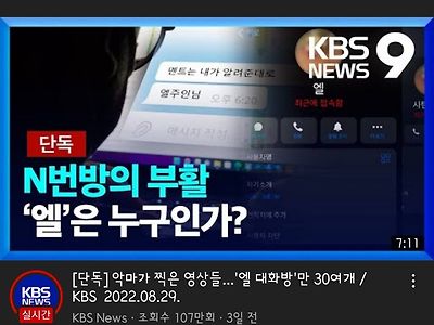 Kbs 뉴스인데 포도팔아도 되는거임?