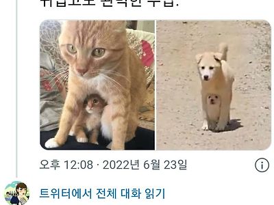 귀여우면서 완벽한 수납