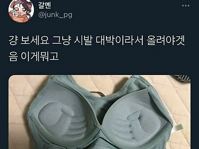 새로산 브래지어에 빡친.jpg