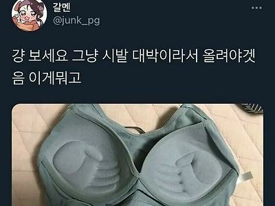 새로 산 브래지어에 빡친녀.jpg