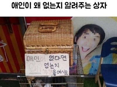 애인이 왜 없는지 알려주는 상자