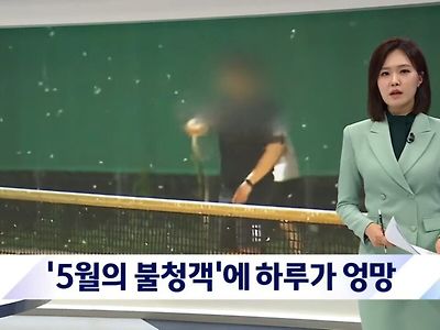 (약혐) 5cm 하루살이 떼 미친 근황