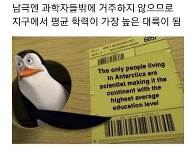 지구에서 가장 평균학력이 높은 대륙