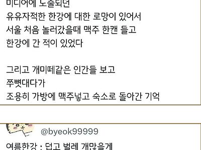 지방 사람이 겪은 한강에 대한 로망과 현실