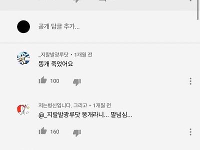 하이킥에 나온 히릿이라는 강아지 아직 살아있나요?.jpg