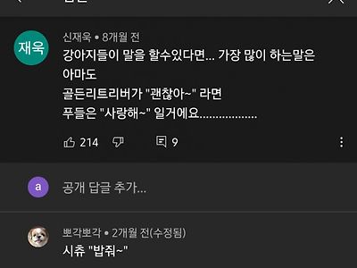 강아지가 하는 말