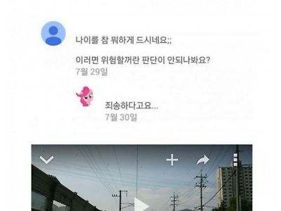 철스퍼거의 사과