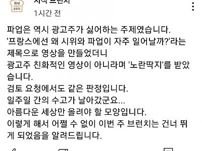 광고주들이 싫어하는 영상이라 노란딱지 받았다는 지식브런치