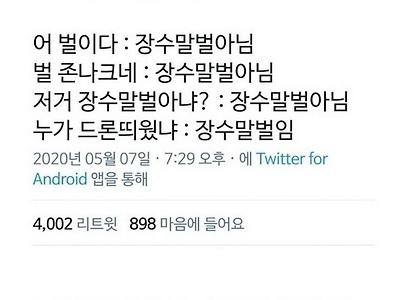 유독 믿지 못할 소문만 무성한 곤충